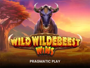 Wild Wildebeest Wins game screenshot